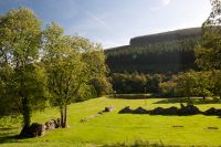 Looking over the abbey site