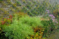 Colorful borders in the Pool Garden