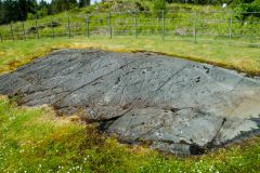 Achnabreck Cup and Ring Marks