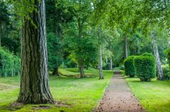 The tree gardens planted atop the Roman site