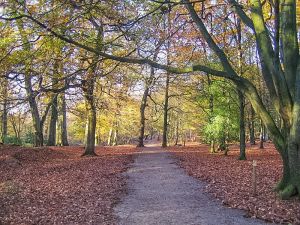 Alderley Edge