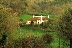 A picturesque whitewashed cottage