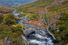The burn leading to the falls