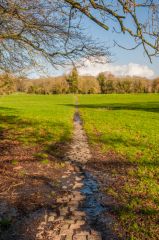 Cobbled path to the church