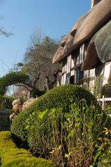 The restored front garden