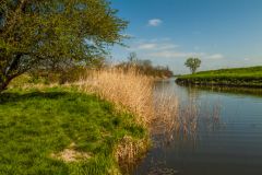 The Royal Military Canal at appledore