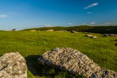 Looking across the stone circle