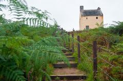 Uphill path to the tower