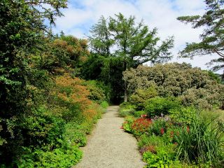 Arduaine Garden