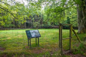 Ardunie Roman Signal Station