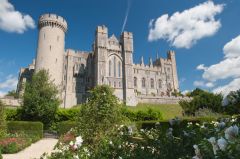 View from the garden