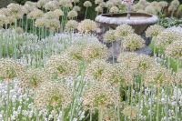 Athelhampton House, White Garden