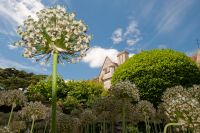 Athelhampton House, White Garden 2