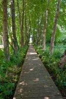 Athelhampton House, River Walk