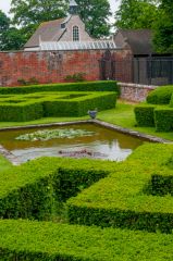Clipped hedges and water feature in the garden