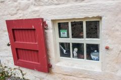 Side window and painted shutter