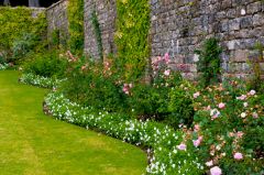 A sinuous walled garden border
