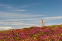 Remains of tin mine beside the barrow