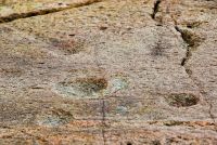 Ring and 'cup' depressions