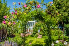 A lovely summer trellis