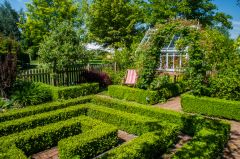 Box hedges in the Cottage Garden