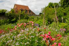 Looking towards the walled garden