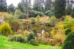 A quiet lake (c) N Chadwick