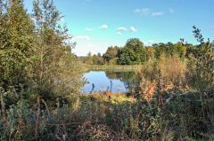 Looking over the reservoir (c) John Myers