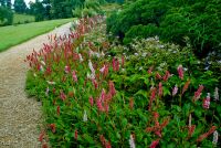 Flower borders