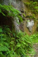 Belsay Hall and Garden, Quarry Garden