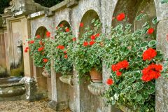 A quiet nook in the Italianate gardens