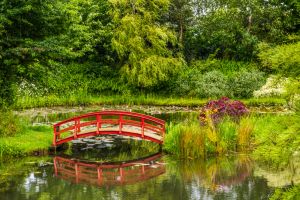 Bennetts Water Gardens