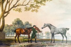 An equine painting by Stubbs in the Picture Gallery