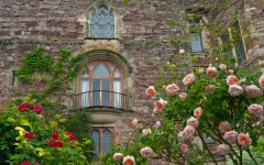 Berkeley Castle from the gardens