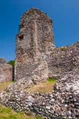Earl of Cornwall's palace ruins