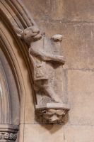 Beverley, St Mary's Church, White Rabbit carving
