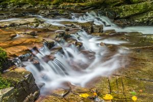 Birks of Aberfeldy