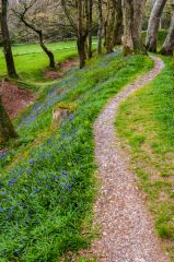 Atop the earthwork bank