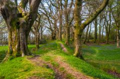 Walking along the earthwork bank