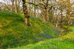 The outer ditch and bank