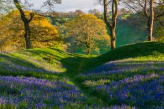 The barbican enclosure