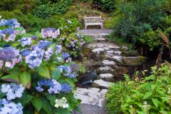 Stepping stones across a stream