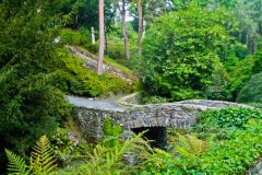 Footbridge in the Dell Garden