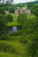 Bolton Abbey and River Wharfe