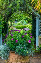 Borde Hill Garden, Looking towards the Rose Garden