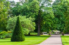 Topiary near the garden entrance
