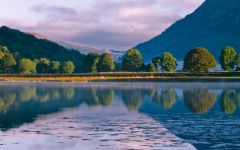 Trees at the northern end of the lake