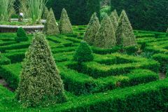 The Knot Garden