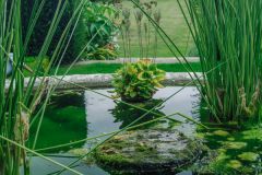 Knot Garden Basket Pond