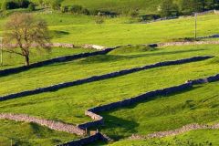 Fields and stone walls below Bradwell Edge